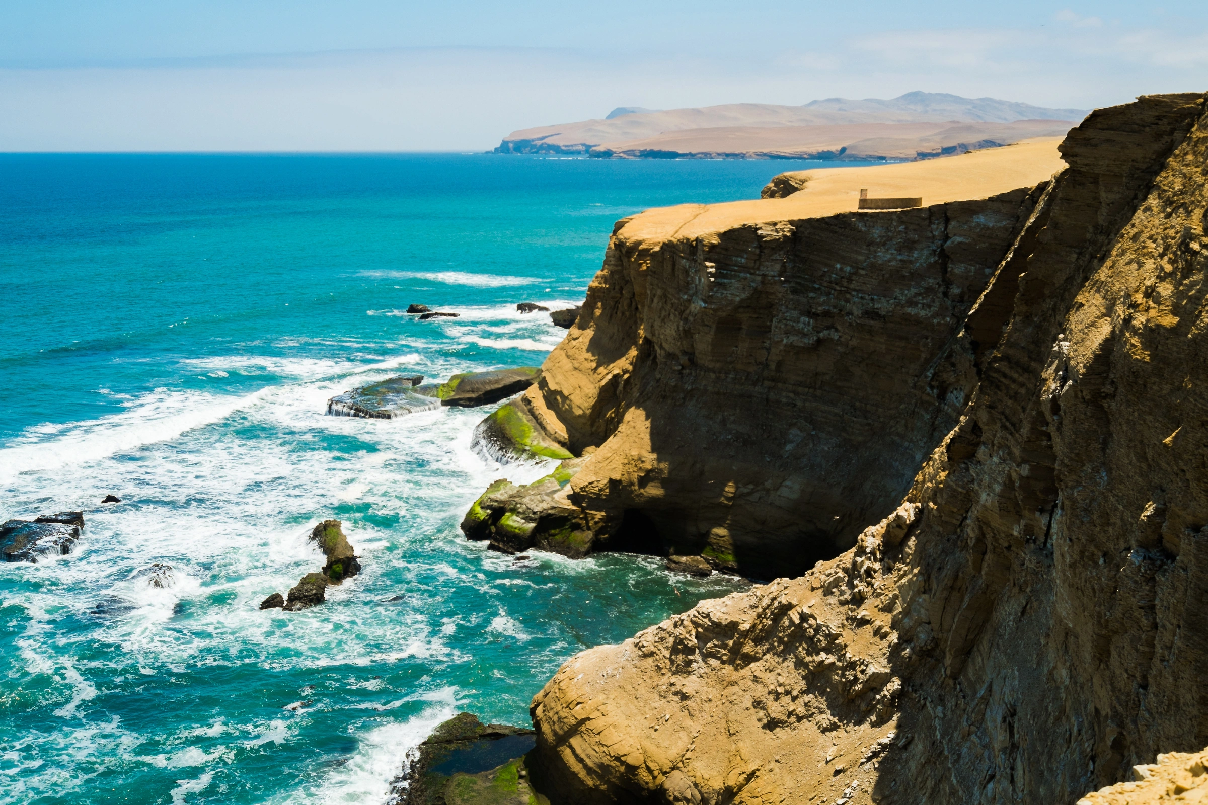 Paracas[1].webp